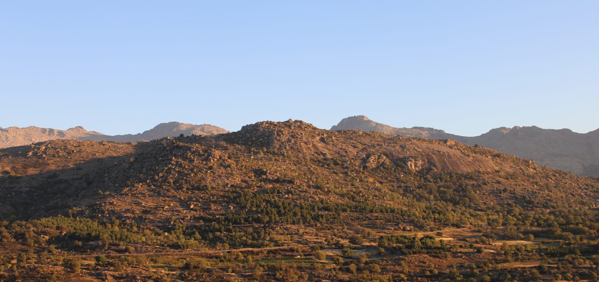 La foto de cabecera captura la esencia de Alma Rural en cada detalle. Enmarcada por las majestuosas montañas de granito, nuestra bodega se alza como un oasis vinícola en lo más alto. Las viñas de Garnacha, cultivadas con esmero, se mezclan con el paisaje, mientras que el sol acaricia las uvas en este entorno granítico único. Esta imagen es más que un vistazo a nuestra bodega; es una promesa de vinos excepcionales, donde la altitud y la montaña convergen para crear una experiencia única en cada botella.